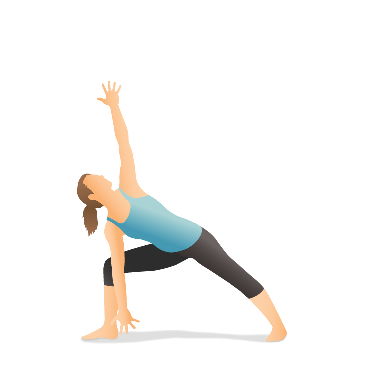 Yoga Pose: Warrior II Forward Bend (Pārśvakoṇāsana)