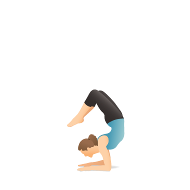 Yoga Pose: Scorpion | Pocket Yoga